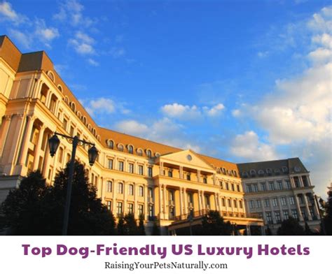pet friendly hotel search|Iba pa.